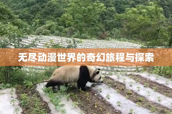 无尽动漫世界的奇幻旅程与探索