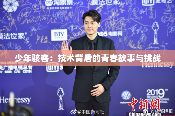 少年骇客：技术背后的青春故事与挑战
