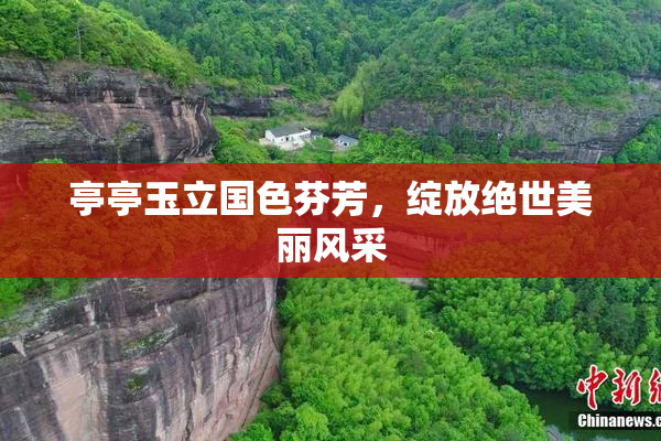 亭亭玉立国色芬芳，绽放绝世美丽风采