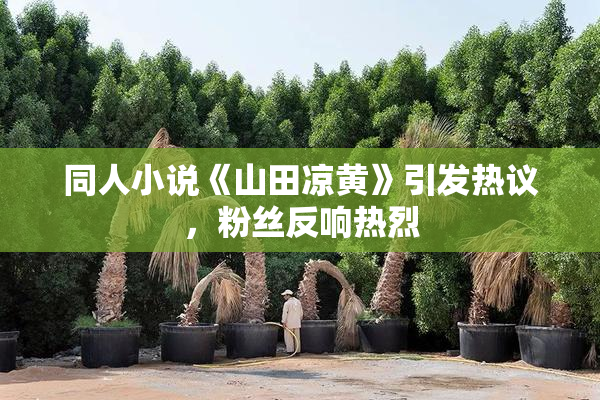 同人小说《山田凉黄》引发热议，粉丝反响热烈