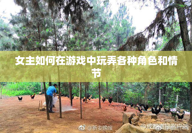 女主如何在游戏中玩弄各种角色和情节