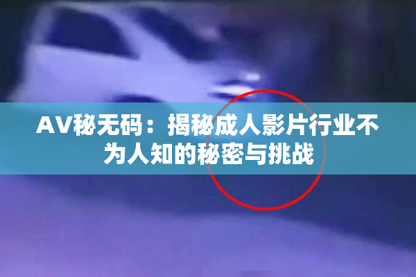 AV秘无码：揭秘成人影片行业不为人知的秘密与挑战