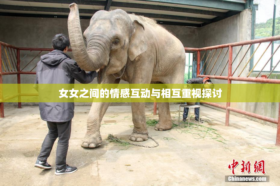 女女之间的情感互动与相互重视探讨