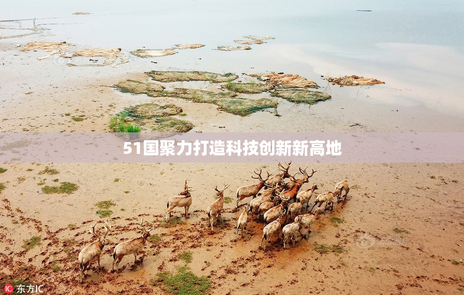 51国聚力打造科技创新新高地