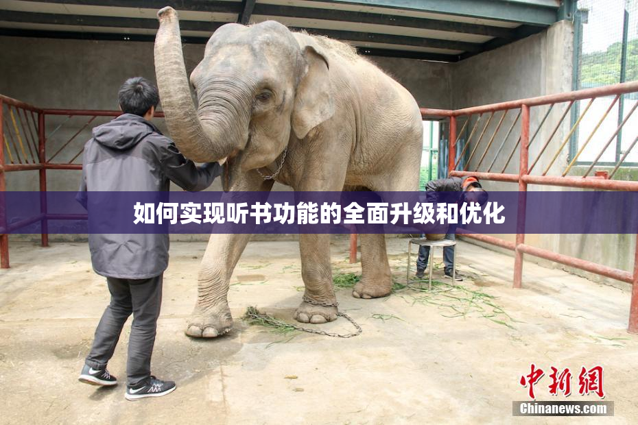 如何实现听书功能的全面升级和优化