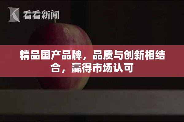 精品国产品牌，品质与创新相结合，赢得市场认可