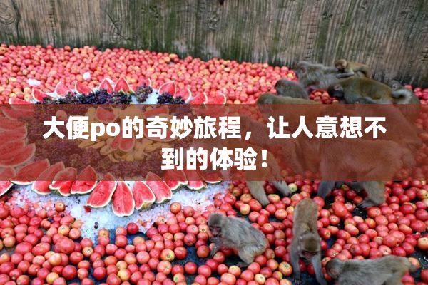 大便po的奇妙旅程，让人意想不到的体验！