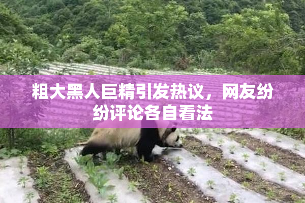 粗大黑人巨精引发热议，网友纷纷评论各自看法