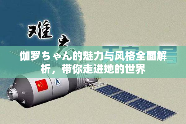 伽罗ちゃん的魅力与风格全面解析，带你走进她的世界