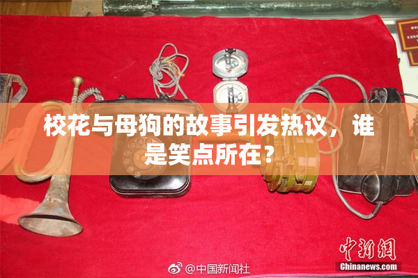 校花与母狗的故事引发热议，谁是笑点所在？