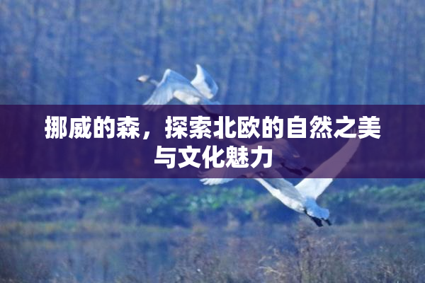 挪威的森，探索北欧的自然之美与文化魅力