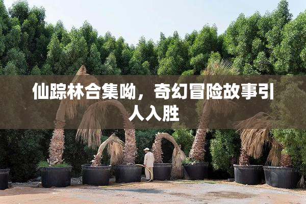 仙踪林合集呦，奇幻冒险故事引人入胜