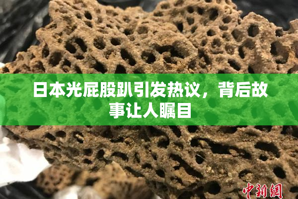 日本光屁股趴引发热议，背后故事让人瞩目