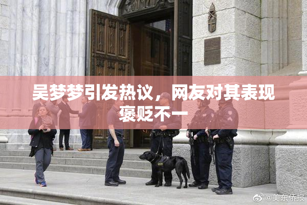 吴梦梦引发热议，网友对其表现褒贬不一
