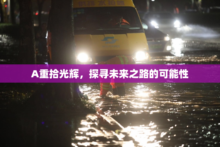 A重拾光辉，探寻未来之路的可能性