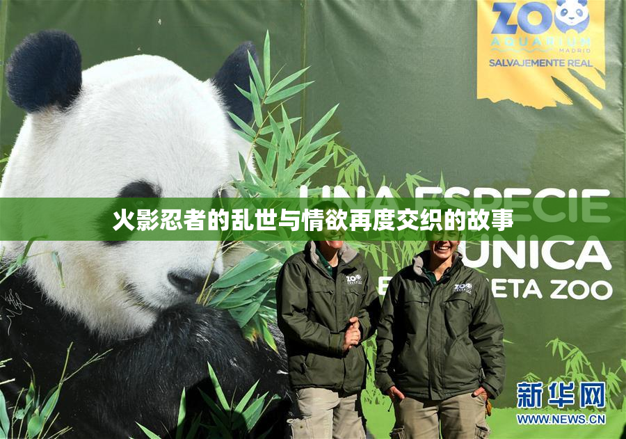 火影忍者的乱世与情欲再度交织的故事