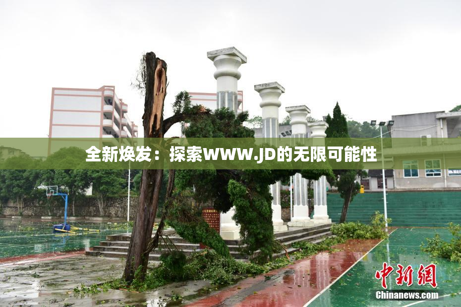 全新焕发：探索WWW.JD的无限可能性
