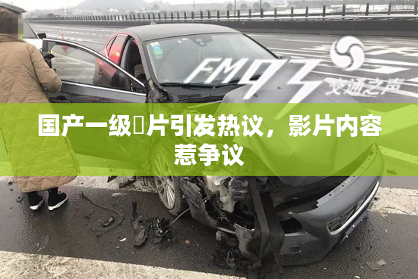 国产一级婬片引发热议，影片内容惹争议