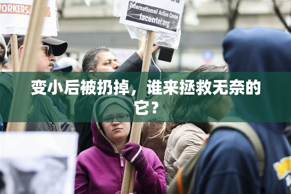 变小后被扔掉，谁来拯救无奈的它？