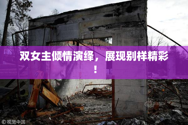 双女主倾情演绎，展现别样精彩！