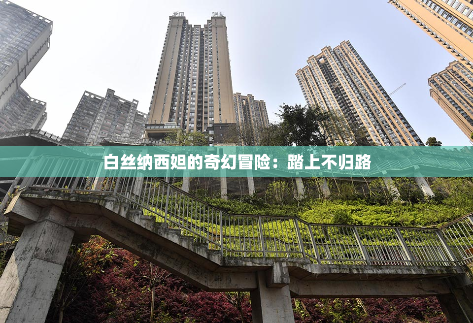 白丝纳西妲的奇幻冒险：踏上不归路