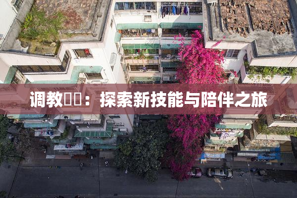 调教妺妺：探索新技能与陪伴之旅