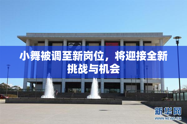 小舞被调至新岗位，将迎接全新挑战与机会