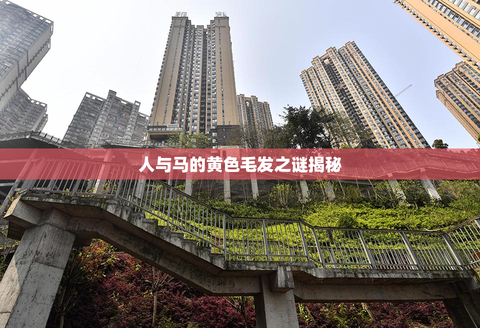 人与马的黄色毛发之谜揭秘