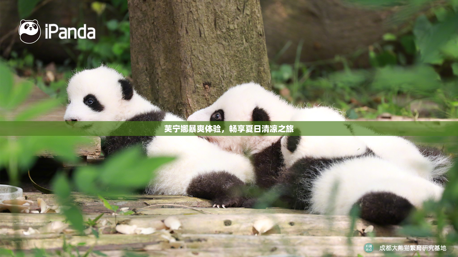 芙宁娜暴爽体验，畅享夏日清凉之旅