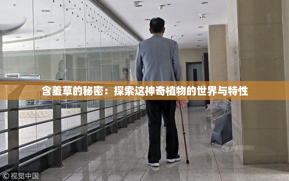 含羞草的秘密：探索这神奇植物的世界与特性