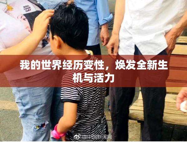 我的世界经历变性，焕发全新生机与活力