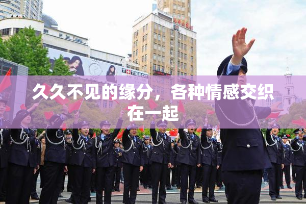 久久不见的缘分，各种情感交织在一起