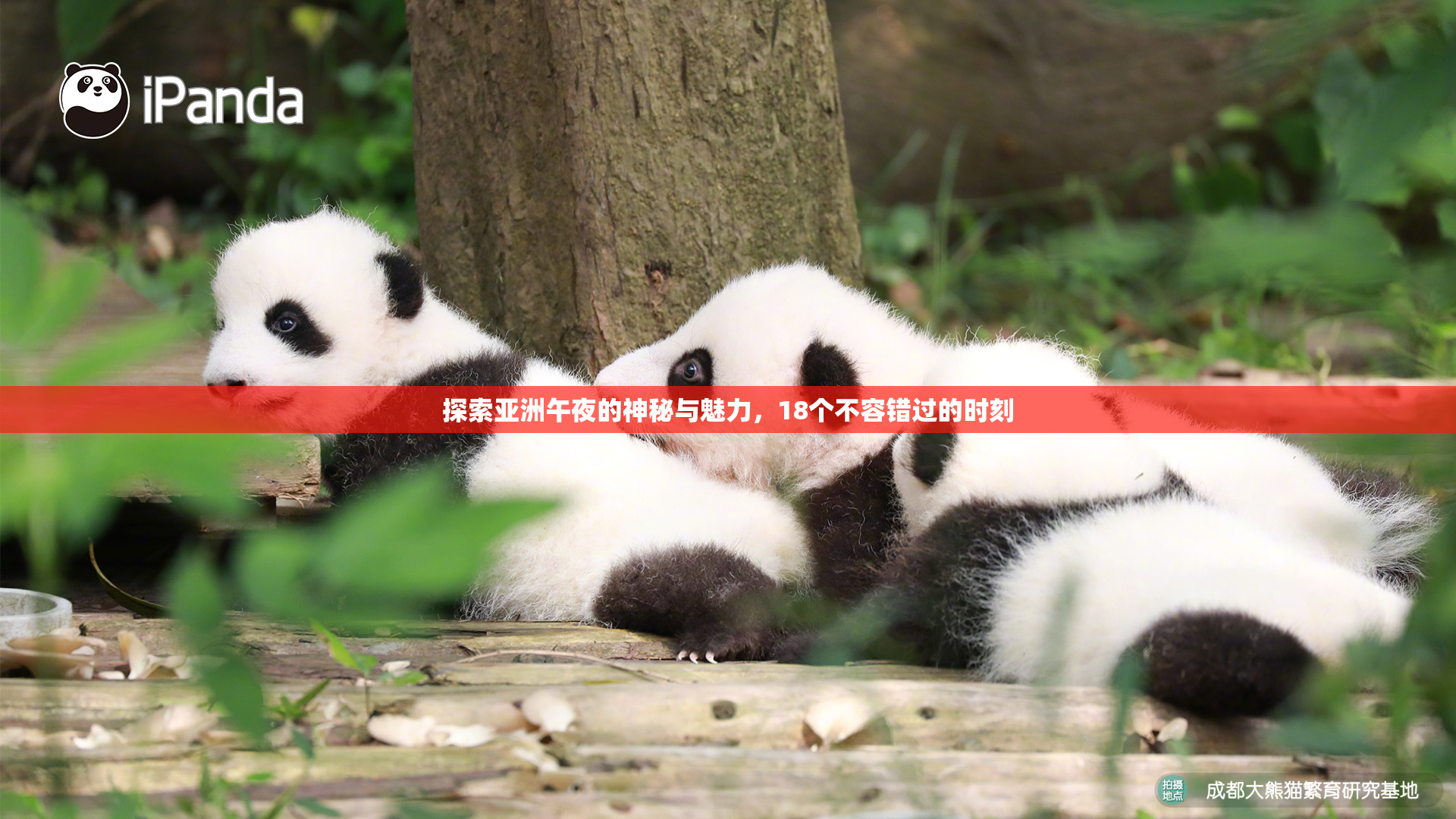 探索亚洲午夜的神秘与魅力，18个不容错过的时刻