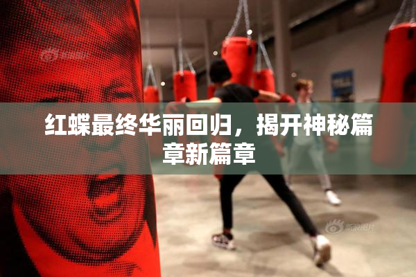 红蝶最终华丽回归，揭开神秘篇章新篇章