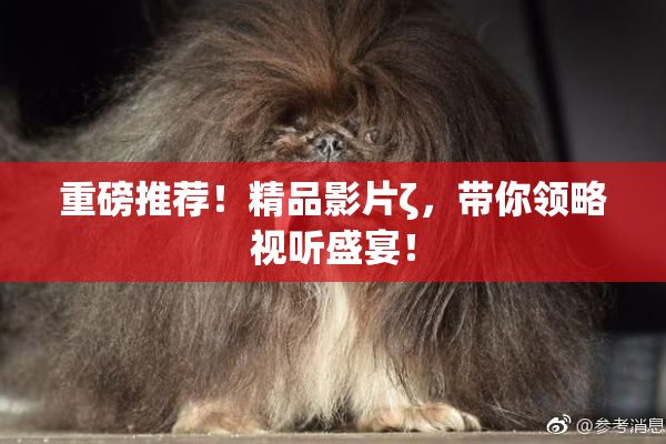 重磅推荐！精品影片ζ，带你领略视听盛宴！