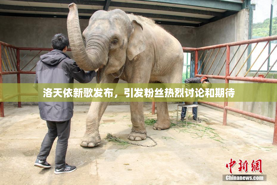 洛天依新歌发布，引发粉丝热烈讨论和期待