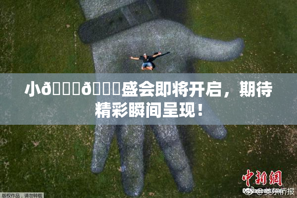 小🐔🐔盛会即将开启，期待精彩瞬间呈现！