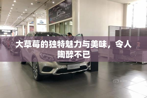 大草莓的独特魅力与美味，令人陶醉不已