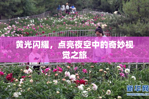 黄光闪耀，点亮夜空中的奇妙视觉之旅