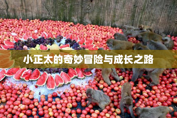 小正太的奇妙冒险与成长之路