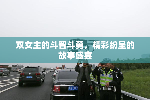 双女主的斗智斗勇，精彩纷呈的故事盛宴