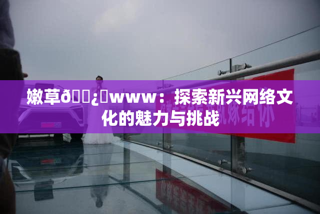 嫩草🌿‌www：探索新兴网络文化的魅力与挑战