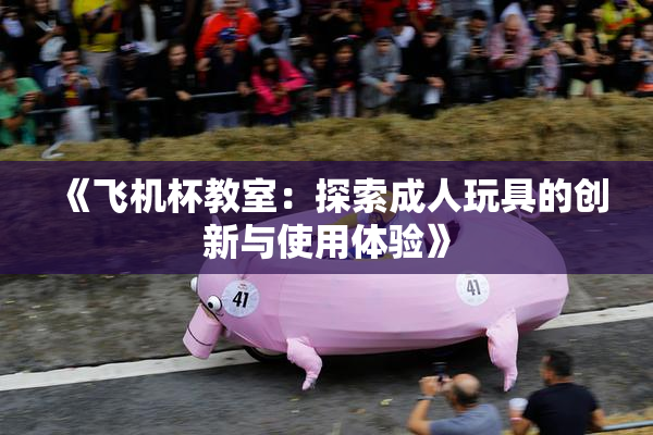 《飞机杯教室：探索成人玩具的创新与使用体验》