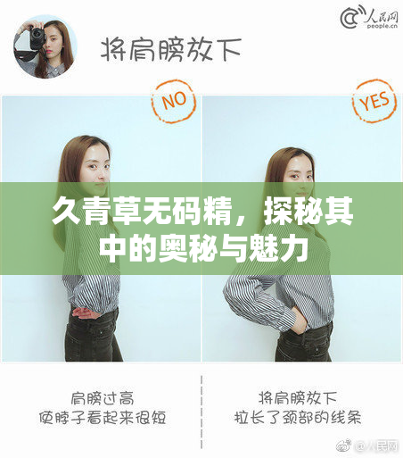 久青草无码精，探秘其中的奥秘与魅力