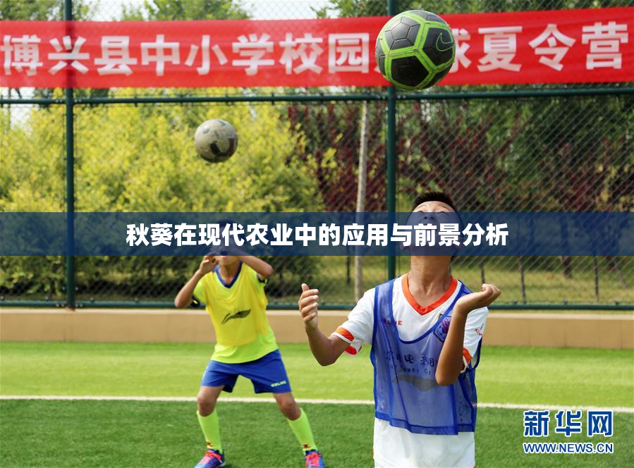 秋葵在现代农业中的应用与前景分析