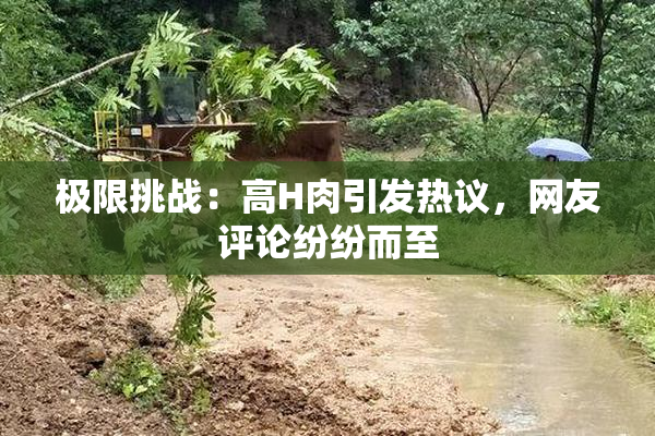 极限挑战：高H肉引发热议，网友评论纷纷而至