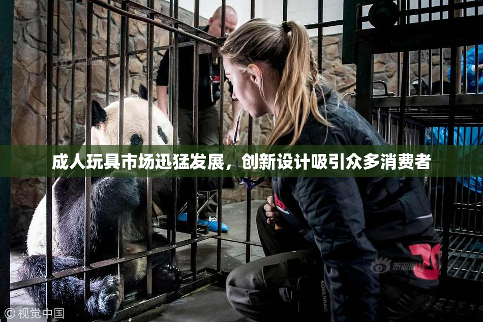 成人玩具市场迅猛发展，创新设计吸引众多消费者