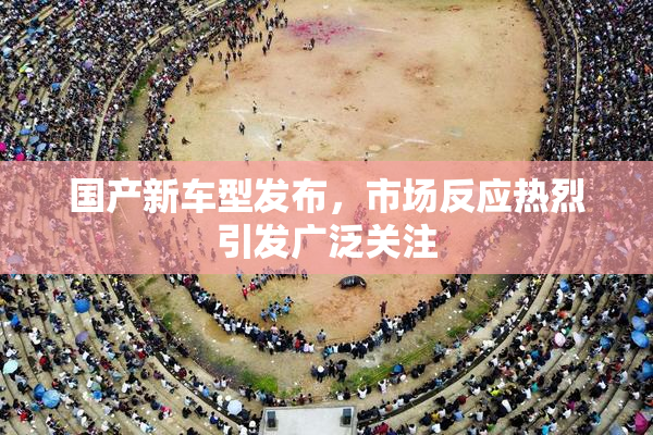 国产新车型发布，市场反应热烈引发广泛关注
