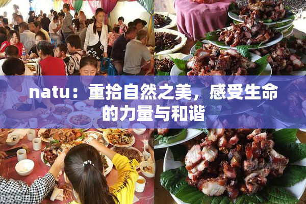 natu：重拾自然之美，感受生命的力量与和谐