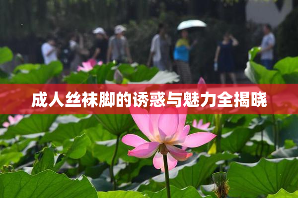 成人丝袜脚的诱惑与魅力全揭晓